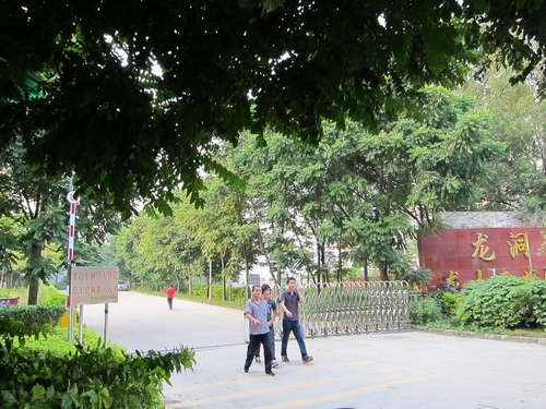 廠區(qū)圖